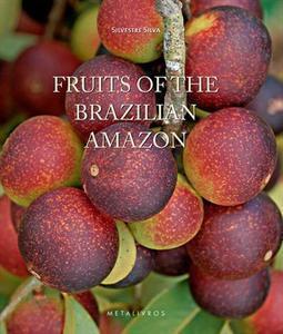 FRUITS OF THE BRAZILIAN AMAZON