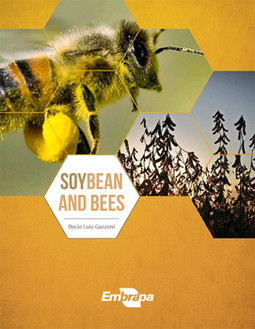 Soybean and bees