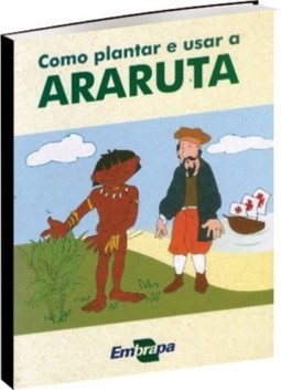 Como plantar e usar a araruta