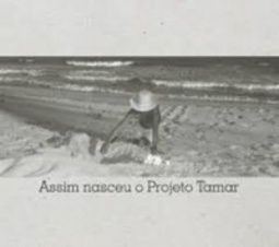 Assim nasceu o Projeto Tamar