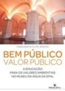 BEM PUBLICO VALOR PUBLICO