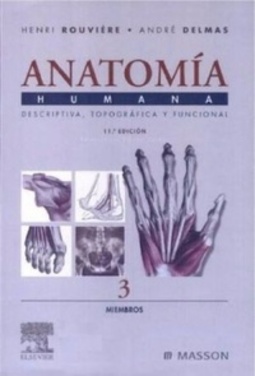 Anatomía Humana #3