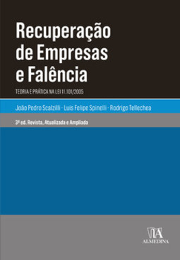 Recuperação de empresas e falência: teoria e prática na lei 11.101/2005