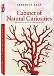 Cabinet of Natural Curiosities - Importado