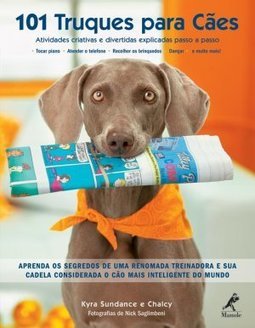101 truques para cães: Atividades criativas e divertidas explicadas passo a passo