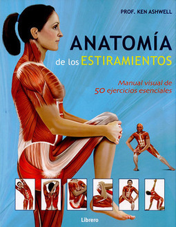 Anatomía de Los Estiramientos