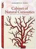 Cabinet of Natural Curiosities - Importado
