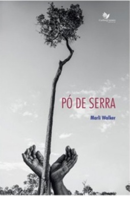 Pó de serra