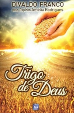 Trigo de Deus