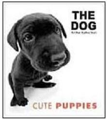 The Dog: Cute Puppies - IMPORTADO