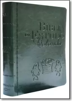 Biblia De Estudo Colorida   Texto Nvi (Verde)