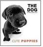 The Dog: Cute Puppies - IMPORTADO
