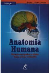 Anatomia Humana