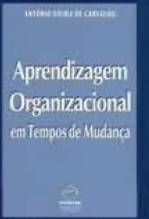Aprendizagem Organizacional em Tempos de Mudanças