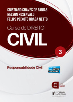 Curso de direito civil: responsabilidade civil