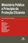 Ministério Público e princípio da proteção eficiente