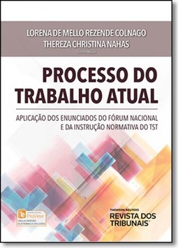 Processo do Trabalho Atual: Aplicação dos Enunciados do Fórum Nacional e da Instrução Normativa do Tst