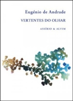 Vertentes do Olhar