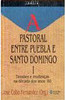 Pastoral Entre Puebla e Santo Domingo I: Tensões..