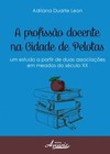 A profissão docente na cidade de Pelotas