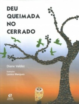 Deu queimada no cerrado