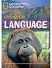Orangutan Language