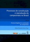 Processos de constituição e reprodução do campesinato no Brasil: formas dirigidas de constituição do campesinato