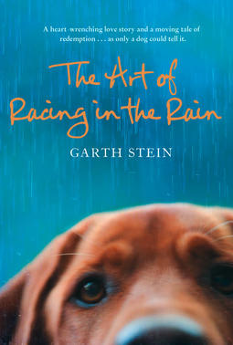 THE ART OF RACING IN THE RAIN