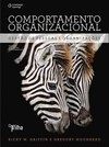 Comportamento organizacional: gestão de pessoas e organizações