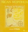 Nican Mopohua: a Virgem de Guadalupe