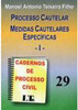 Cadernos de Processo Civil: Processo Cautelar - vol. 29