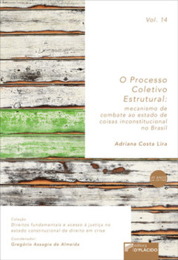 O processo coletivo estrutural: mecanismo de combate ao estado de coisas inconstitucional no Brasil