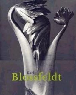 Karl Blossfeldt - Importado