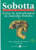 Sobotta: Fichas de Aprendizagem de Anatomia Humana