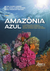 Amazônia azul: a contribuição do Brasil para a mudança normativa do regime internacional dos mares