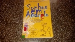 Sonhos em amarelo:o garoto que não esqueceu van Gogh (Biblioteca juvenil)
