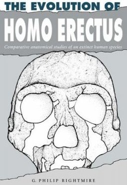 The Evolution of homo erectus