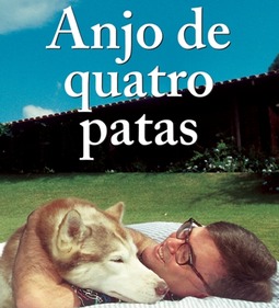 anjo de quatro patas