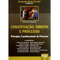 Constituição, Direito e Processo