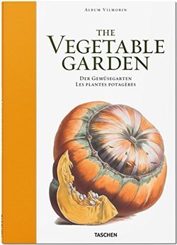 The Vegetable Garden